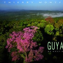 LA_GUYANE_DE_HAUT_EN_BAS_COUV.indd