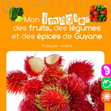 Imaginer_fruits_légumes_épices