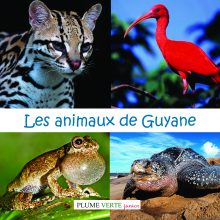 Les animaux de Guyane.indd
