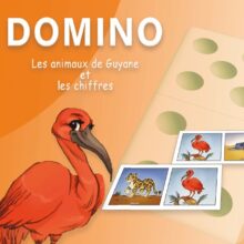 Domino_1