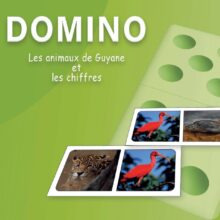 Domino