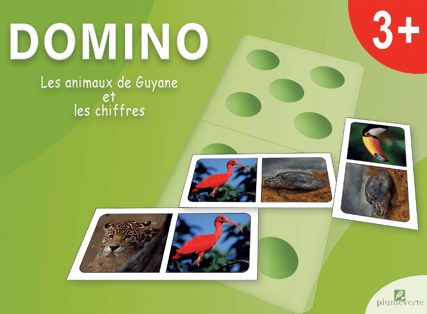 Domino