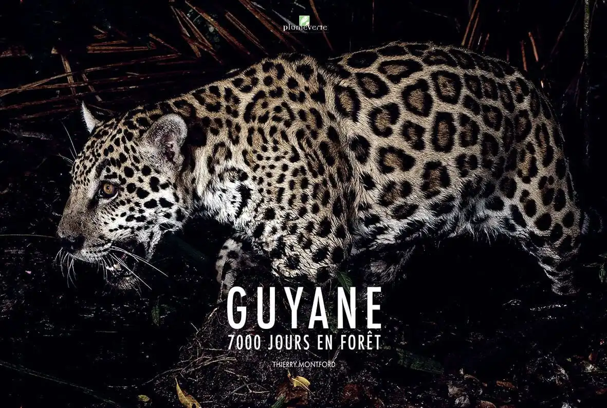 Couverture : GUYANE 7000 jours en forêt