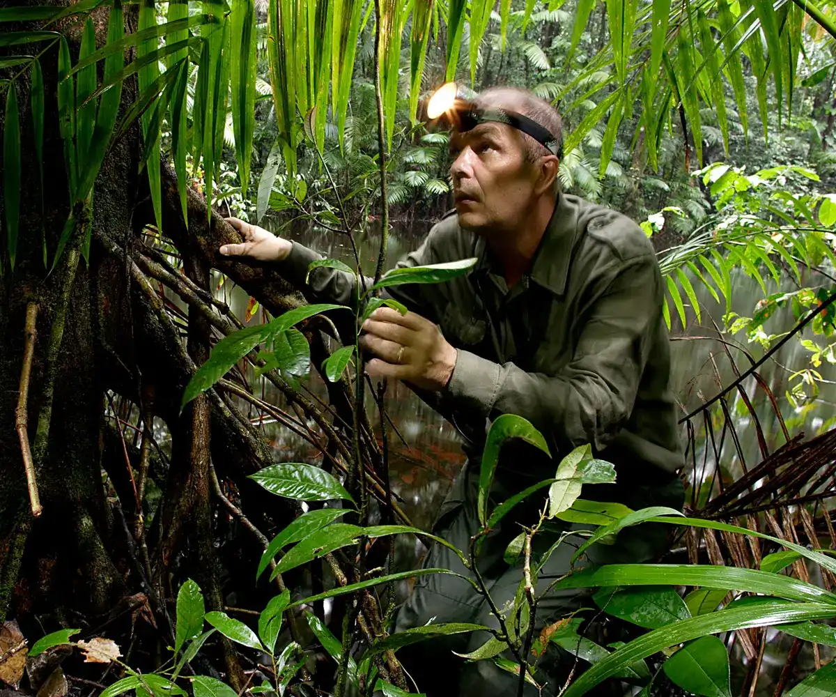 Thierry Montford en observation dans la forêt guyanaise